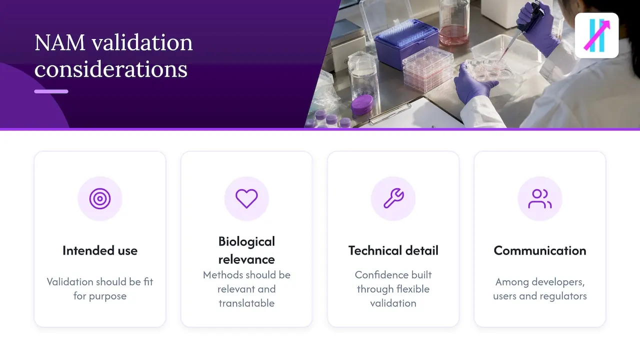 Three considerations for fit-for-purpose NAM validation